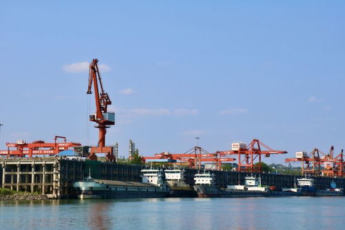 奮戰(zhàn)紅五月，瀘州水運(yùn)吹響發(fā)展進(jìn)軍號 碼頭建設(shè)與管理并舉，激活長江上游黃金水道